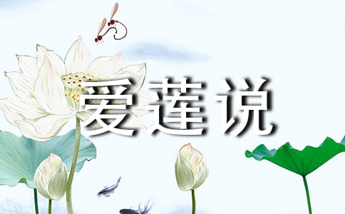 ������˵���̰�����