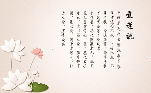 ������˵���̰����ʮƪ