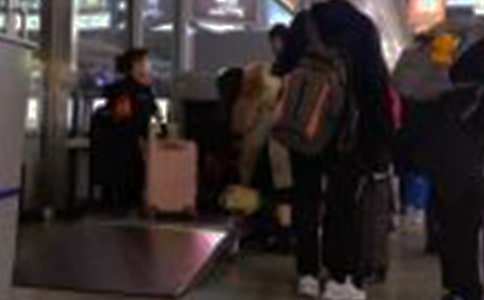 ���������飨����14ƪ��