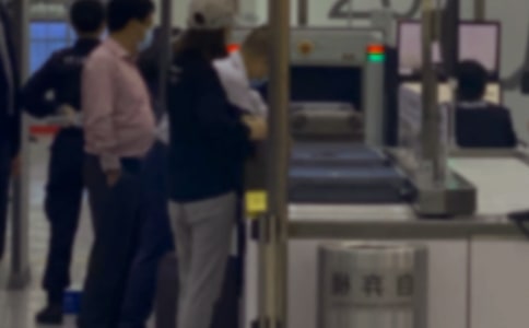 ����Ա������12ƪ