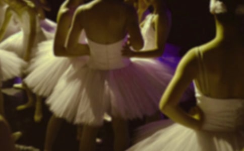 ����������С��֮СӢ�ۺͰ��ٹ����������