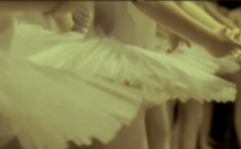 ��СӢ�ۺͰ��ٹ����������15ƪ