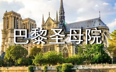 ���ϼ������ڰ���ʥĸԺ�����