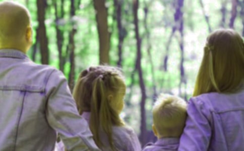 ף����������ף���Ｏ�����ϼ��