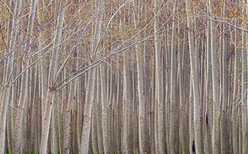 ��������и�