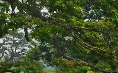 ���������ޡ���ѧ��˼11ƪ