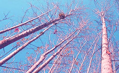 ����������