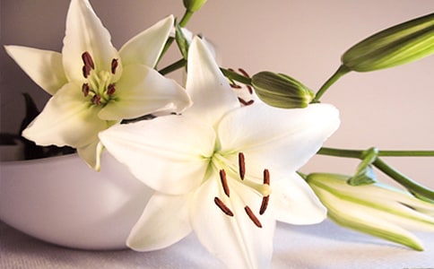 ���ٺϻ���ѧ��2