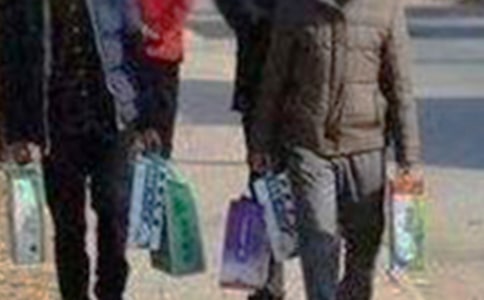 中班科学教案《拜访昆虫》