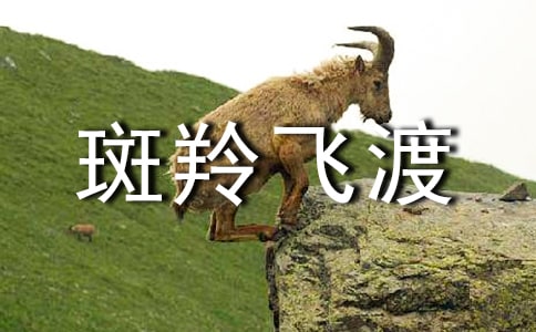 ����ɶɽ̰�