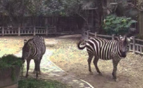 ���ð����߳�����