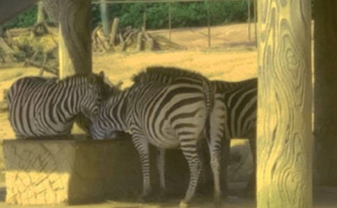 �������ð����߳�����15ƪ