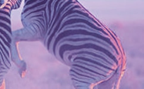 ����·�ϵİ����ߡ���ѧ��˼����ѡ5ƪ��