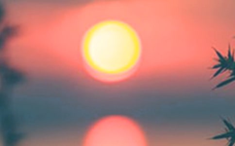 �����ʺ���