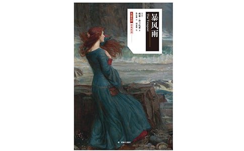 《暴风雨》教案设计