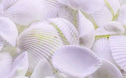 ��С���ǡ��̰�