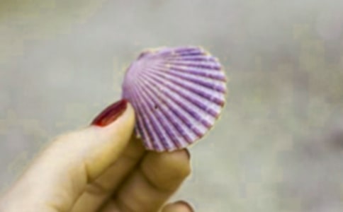 ���Ƕ����[����]