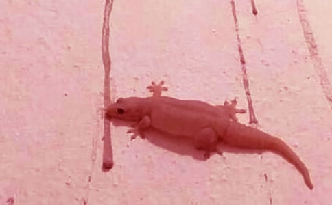 ��С�ڻ���β�͡�����̰�7ƪ