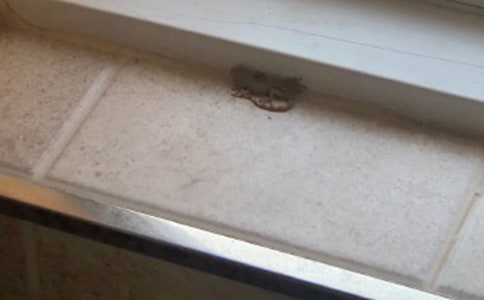 ��С�ڻ���β�͡��̰��ϼ�15ƪ