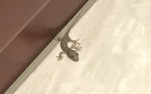 С�ڻ���β�����Խ̰����ģ�ͨ��10ƪ��