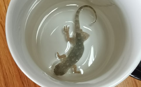 С�ڻ���β�ͽ̰�(��ѡ15ƪ)