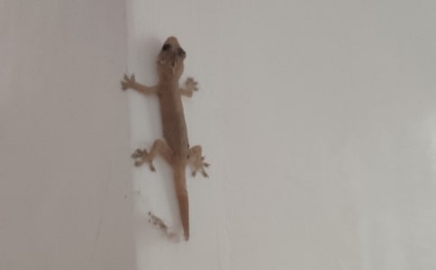 ��С�ڻ���β�͡��̰�15ƪ�����䡿