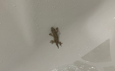 ��С�ڻ���β�͡��̰����15ƪ