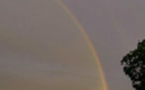 �ʺ������