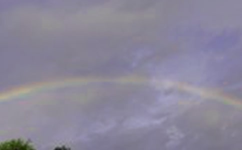 ���š����ʺ�롷�����