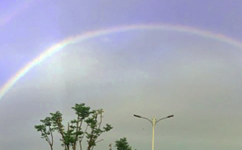 ���ʺ�ɫ�Ļ��������