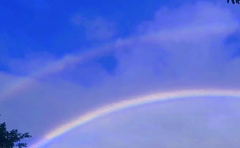 �����Ĳʺ�̰�