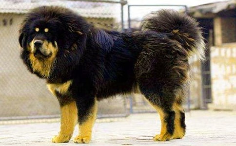 ������ɻ꡷�����7ƪ[����]