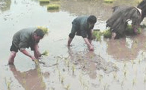 �������ܺ��ĵ���ᣨͨ��21ƪ��