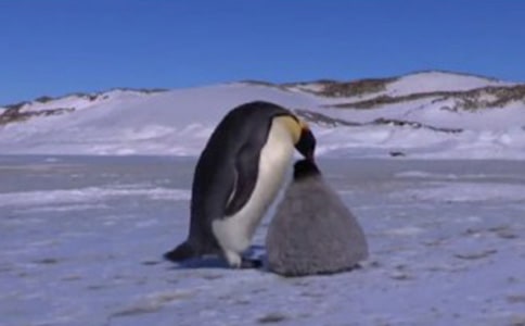 ����Խ�����İ��������