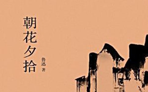 《朝花夕拾》读后感15篇【精品】