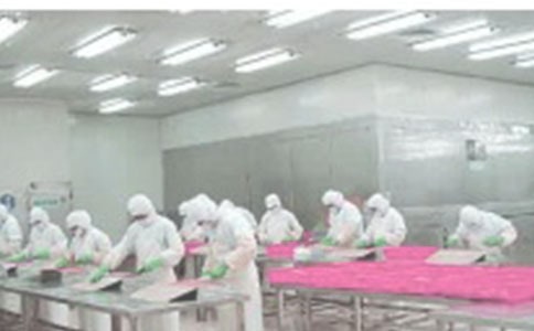 ����Ʒ��Ա�����ܽ᷶�ģ�ͨ��6ƪ��