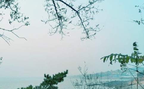 2023�괺���ж���������