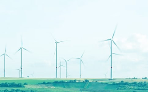 С�����Խ̰�����