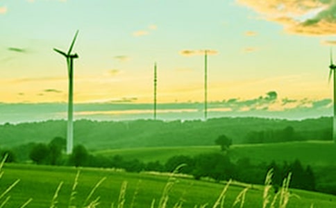 春风小班语言教案