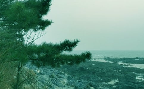 �����ж������ܽ�[�ϼ�15ƪ]