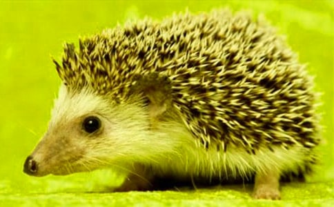 ��⬵����Źۺ��