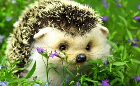 �а�������Ϸ���һ�ҽ̰�