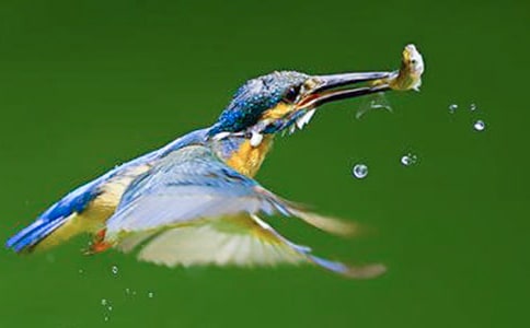 ���꼶���Ĵ����ѧ��˼