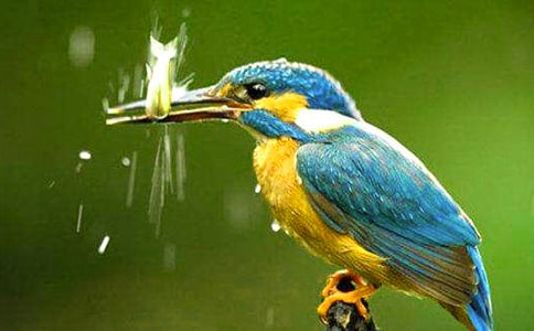 �йء����񡷵Ľ̰����