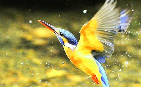 �����ѧ��˼(15ƪ)