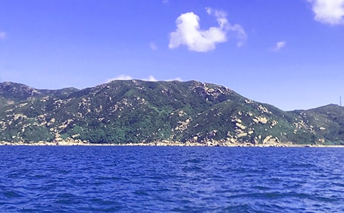 �泯�󺣶����