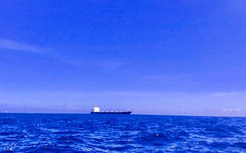 面朝大海,春暖花开读后感7篇