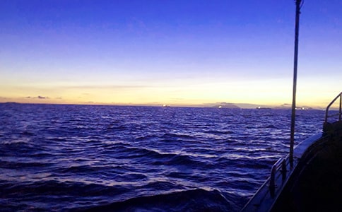 �泯�󺣴�ů���������