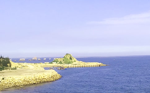 �泯�󺣴�ů���������2ƪ