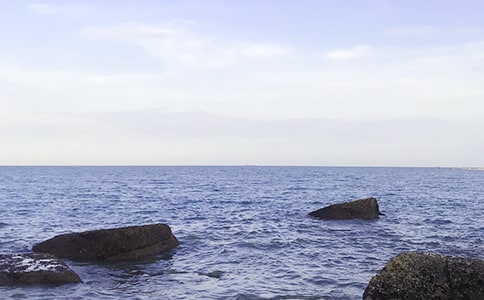 《大海》中班教案